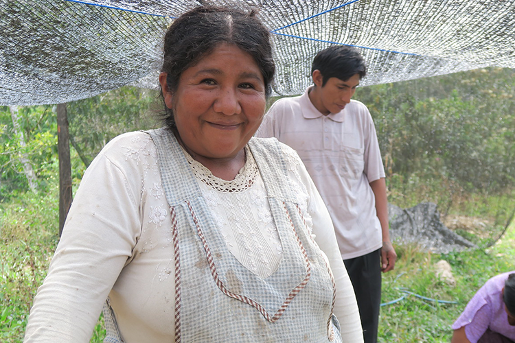 Exploring FairTrade Coffee Farming: Ethical Sourcing and Sustainability